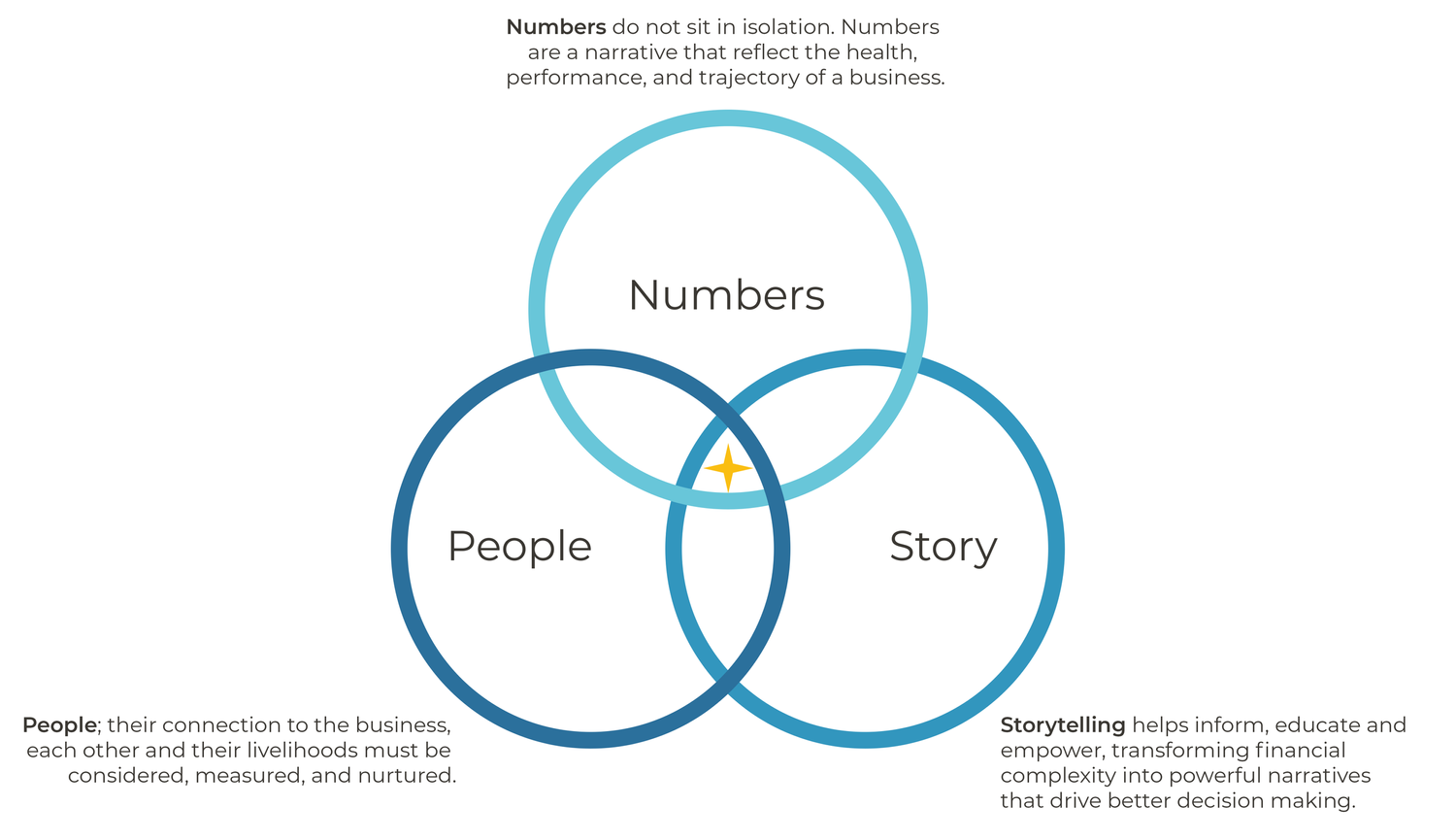 Numbers, People, and Story — how visibility in numbers connects financial data with people and storytelling.